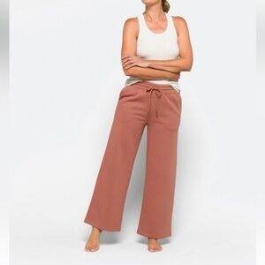 Threads 4 Thought Invincible Wide Leg Stain Resistant Pants in Terracotta